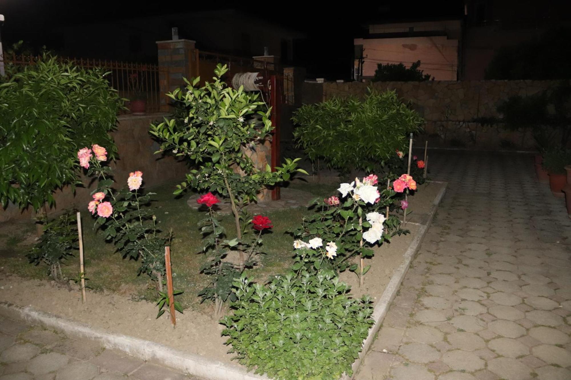 Raisa Guesthouse 12 Берат Екстериор снимка